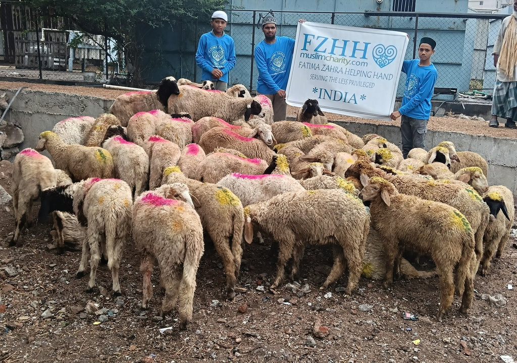 Qurban Udhiyah Activity Part 1 - Preparation - in Hyderabad, India - May 27, 2026