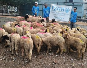 Qurban Udhiyah Activity Part 1 - Preparation - in Hyderabad, India - May 27, 2026