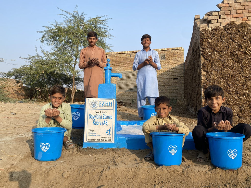 Sayyitina Zainab Kubra (as) - Order no. US 86632 - Well no. 6602