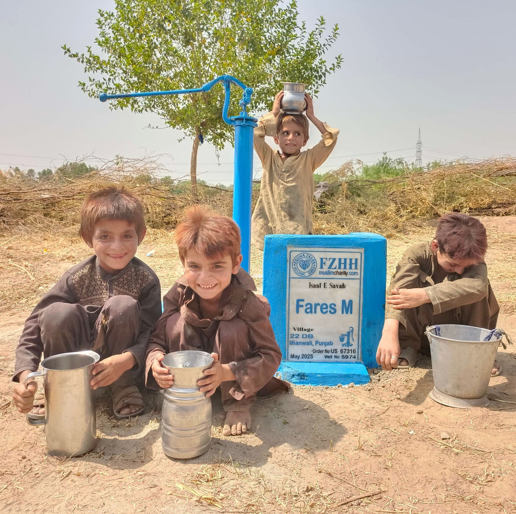 Fares M - Order no. US 67316* - Well no. 5974