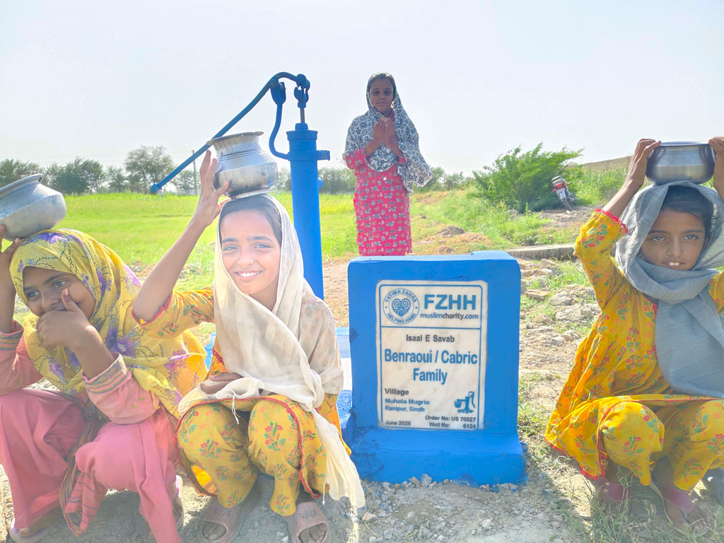 Benraoui / cabric family - Order no. US 70027 - Well no. 6124