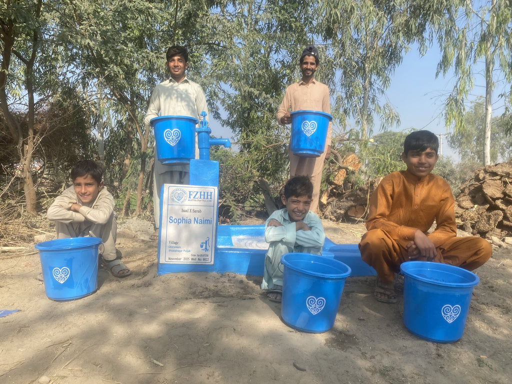 Sophia Naimi - Order no. US 87258 - Well no. 6622