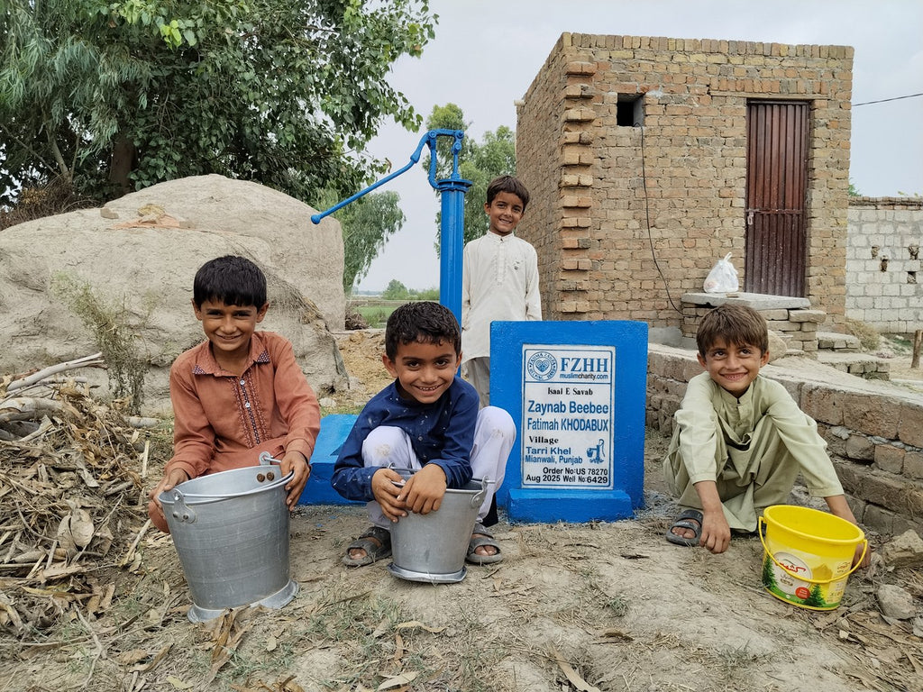 Zaynab Beebee Fatimah KHODABUX - Order no. US 78270 - Well no. 6429