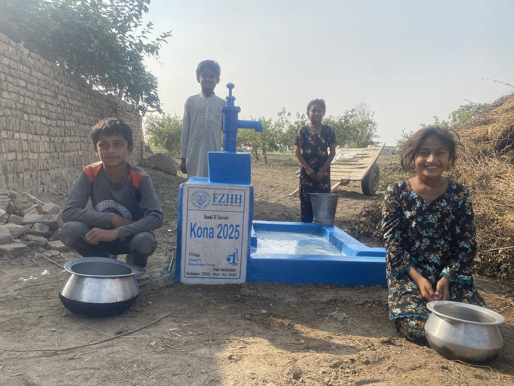 Kona 2025 - Order no. US 82487 - Well no. 6501