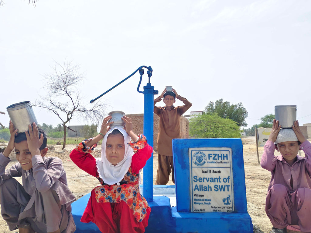 Servant of Allah SWT - Order no. US 70050* - Well no. 6135