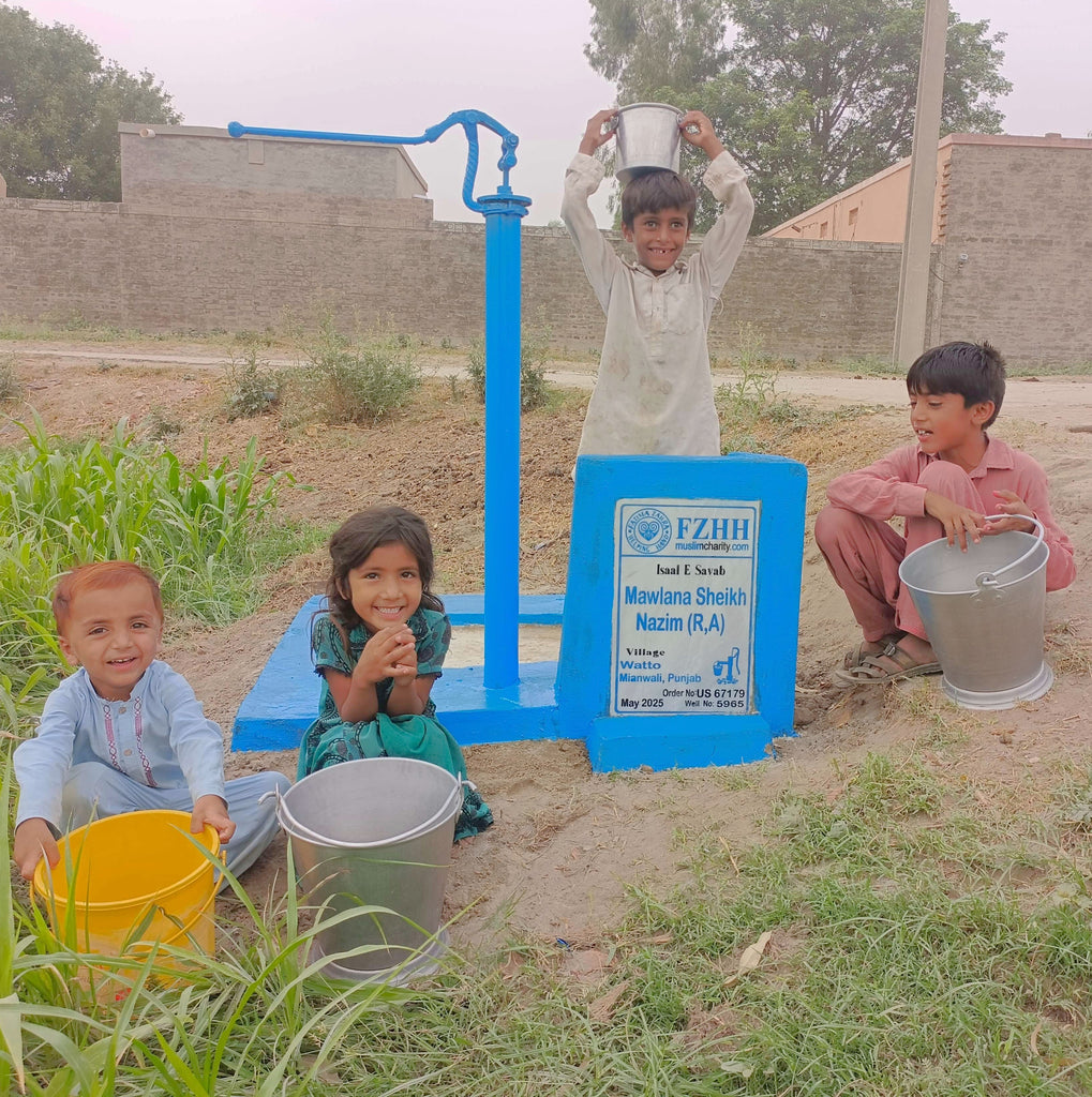 Mawlana Sheikh Nazim (r.a) - Order no. US 67179 - Well no. 5965