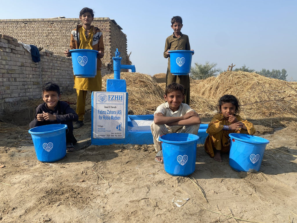 Fatima Zahara (AS) for Robia Madsen - Order no. US 87252 - Well no. 6619