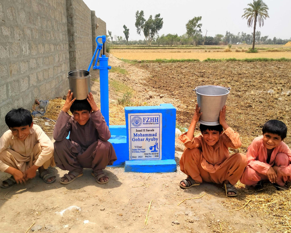 Mohammad Gohar Ayuby - Order no. US 66733* - Well no. 5930