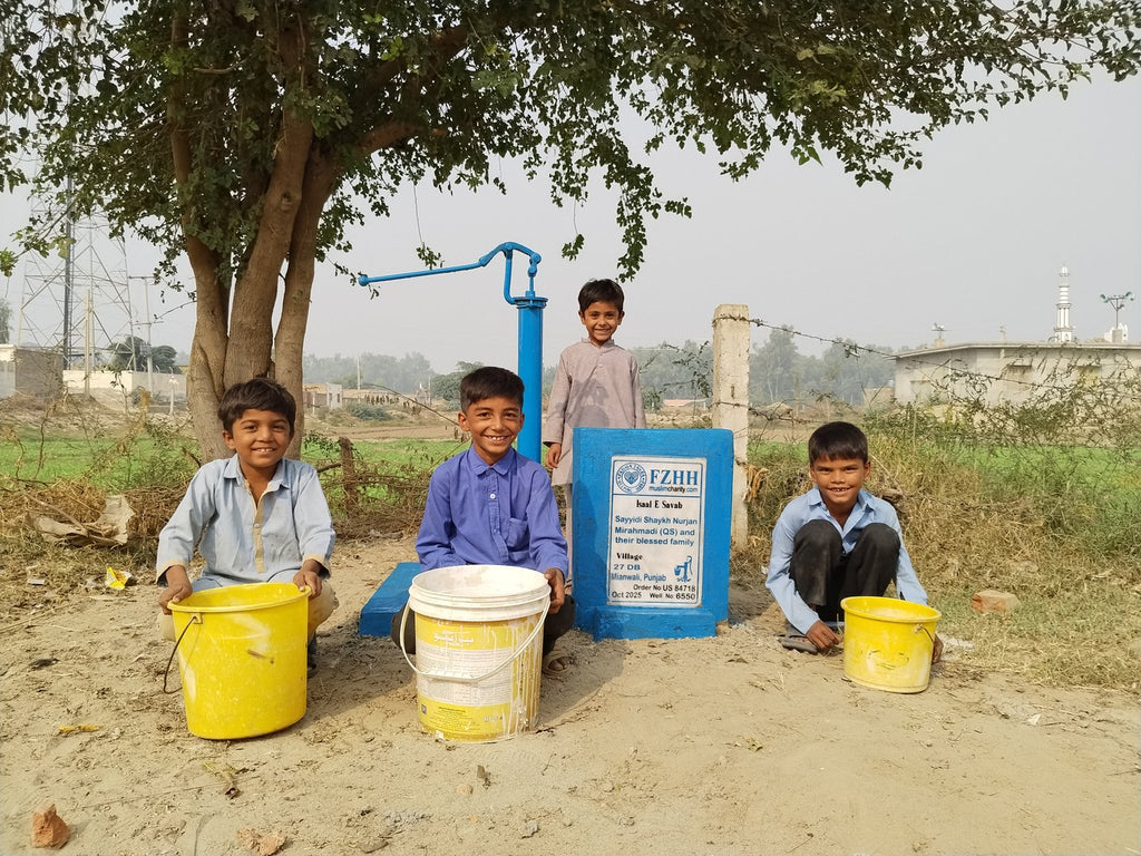 Sayyidi Shaykh Nurjan Mirahmadi (QS) and their blessed famil... - Order no. US 84718 - Well no. 6550