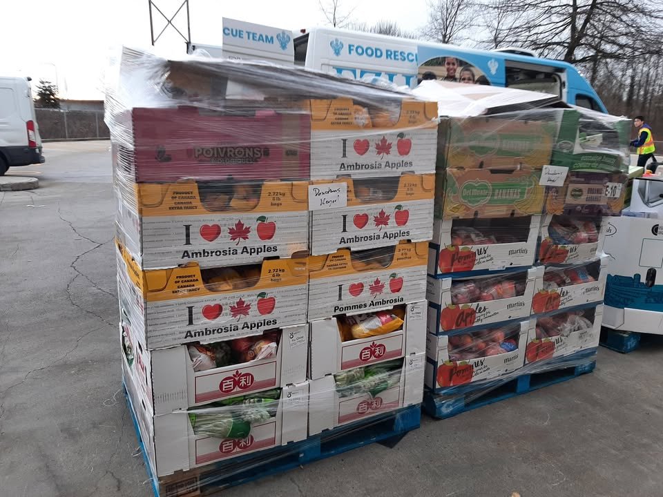 Pediatric Activity in Vancouver - Feb 25, 2026