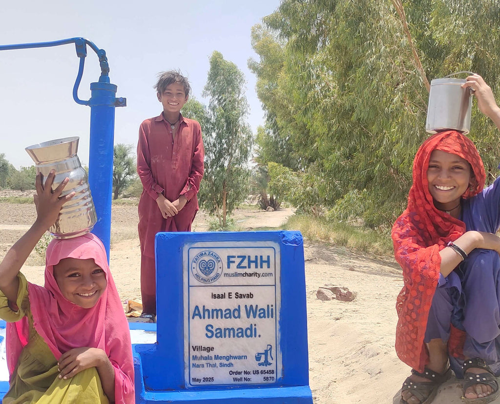 Ahmad Wali Samadi. - Order no. US 65458 - Well no. 5870