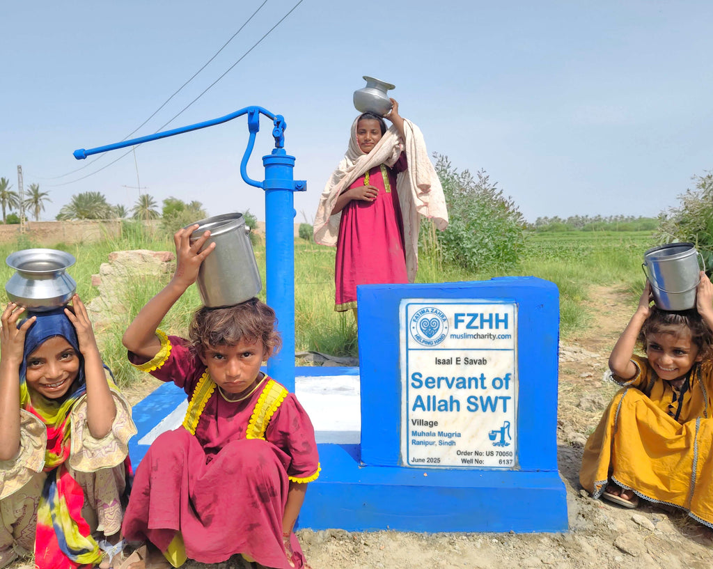 Servant of Allah SWT - Order no. US 70050* - Well no. 6137