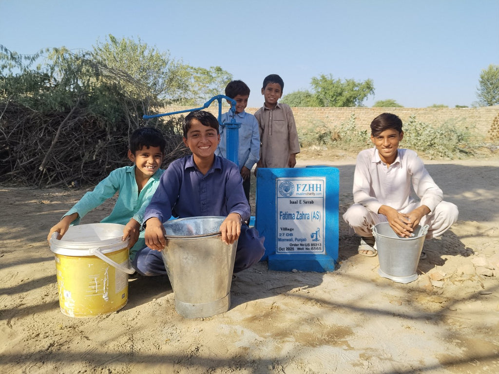 Fatima Zahra (as) - Order no. US 85313 - Well no. 6565