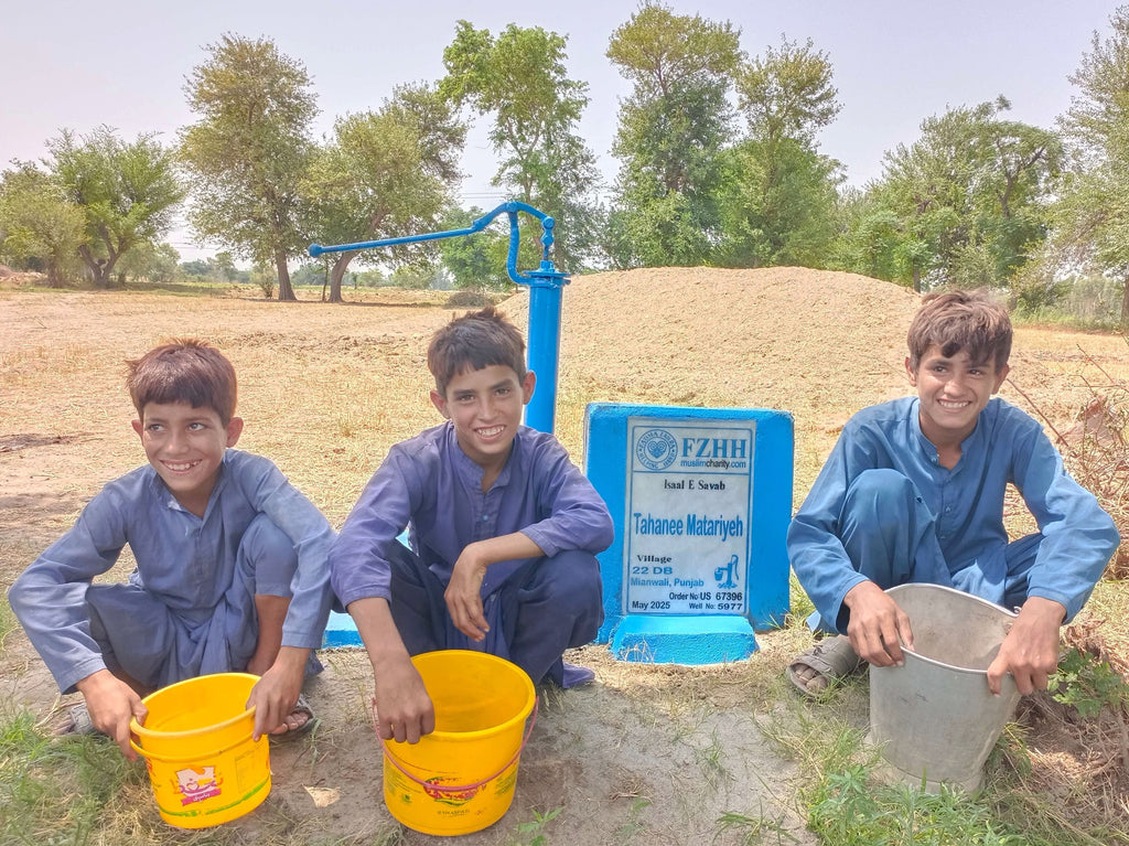 Tahanee Matariyeh - Order no. US 67396 - Well no. 5977