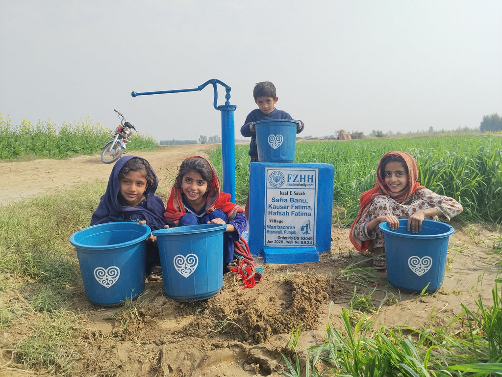 Safia Banu, Kausar Fatima, Hafsah Fatima - Order no. US 93049 - Well no. 6824