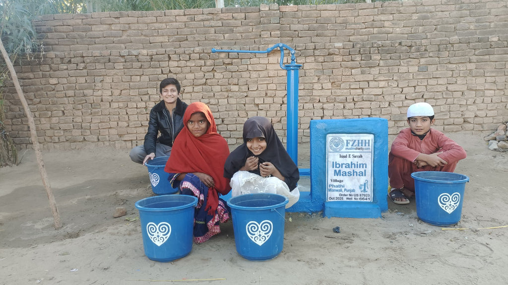 Ibrahim Mashal - Order no. US 87923 - Well no. 6641