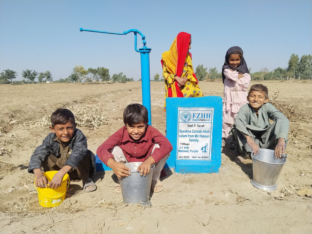 Syedtna Zainab alleh salam from Mir Hassan family. - Order no. PAK  - Well no. 6569