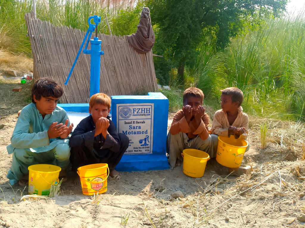 sara motamed - Order no. US 83469 - Well no. 6524