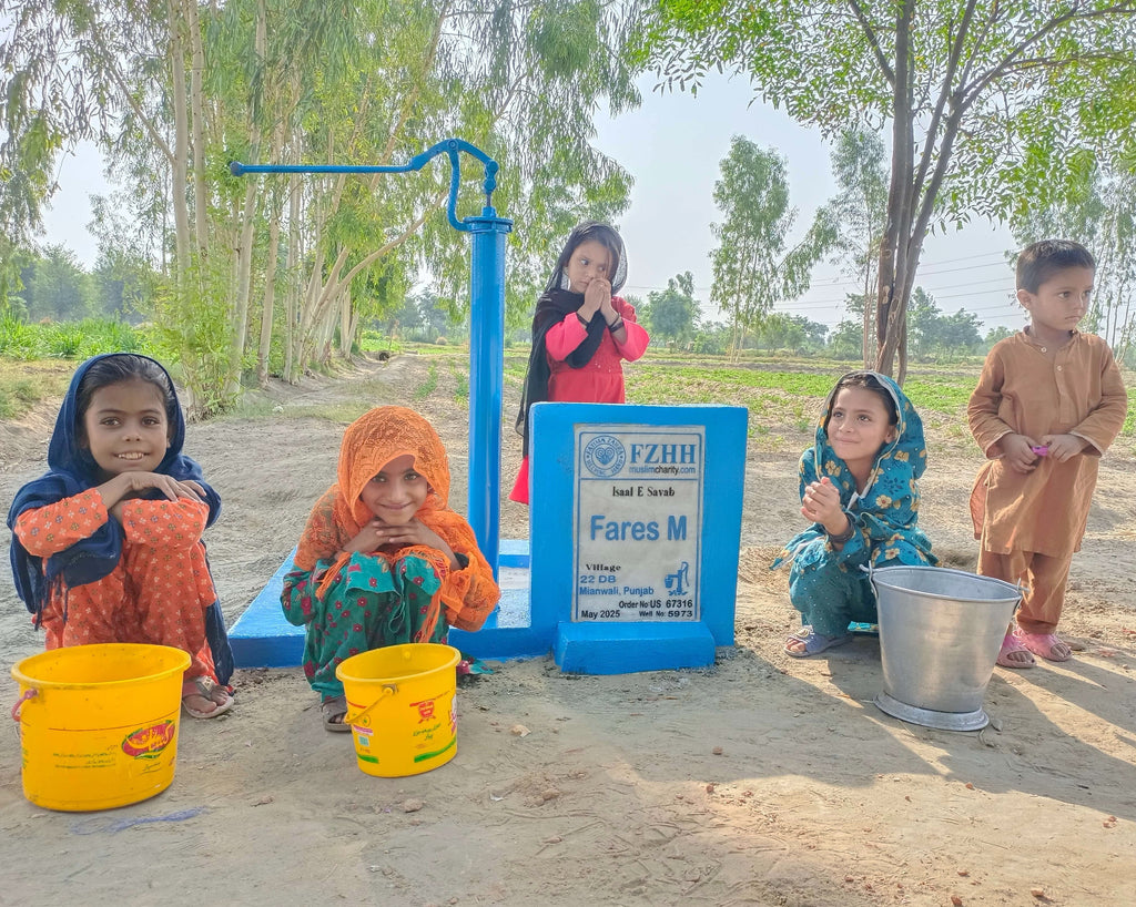 Fares M - Order no. US 67316* - Well no. 5973