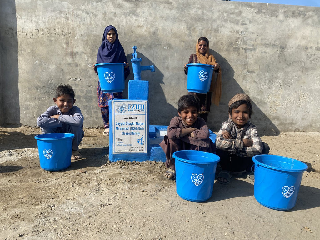 Sayyidi Shaykh Nurjan Mirahmadi (QS) & their blessed family - Order no. US 94325 - Well no. 6870