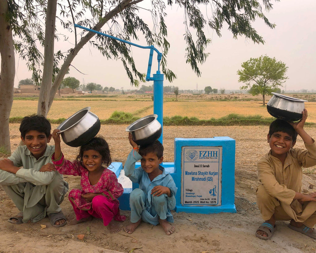 Mawlana Shaykh Nurjan Mirahmadi (QS) - Order no. US 61726 - Well no. 5575