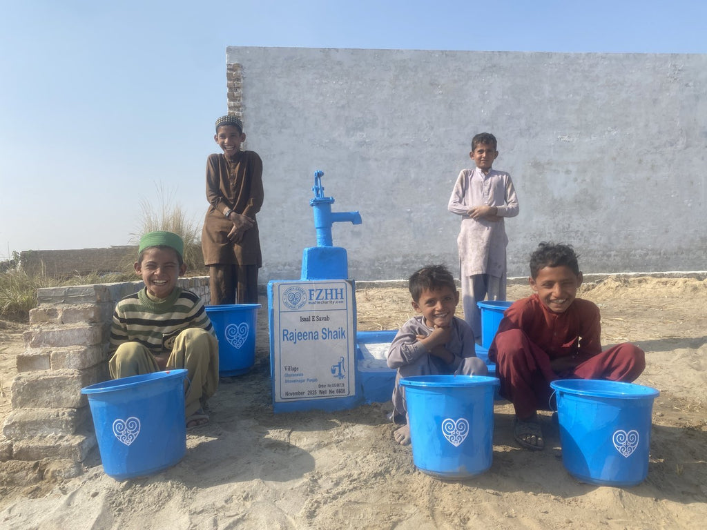 Rajeena Shaik - Order no. US 86728 - Well no. 6608