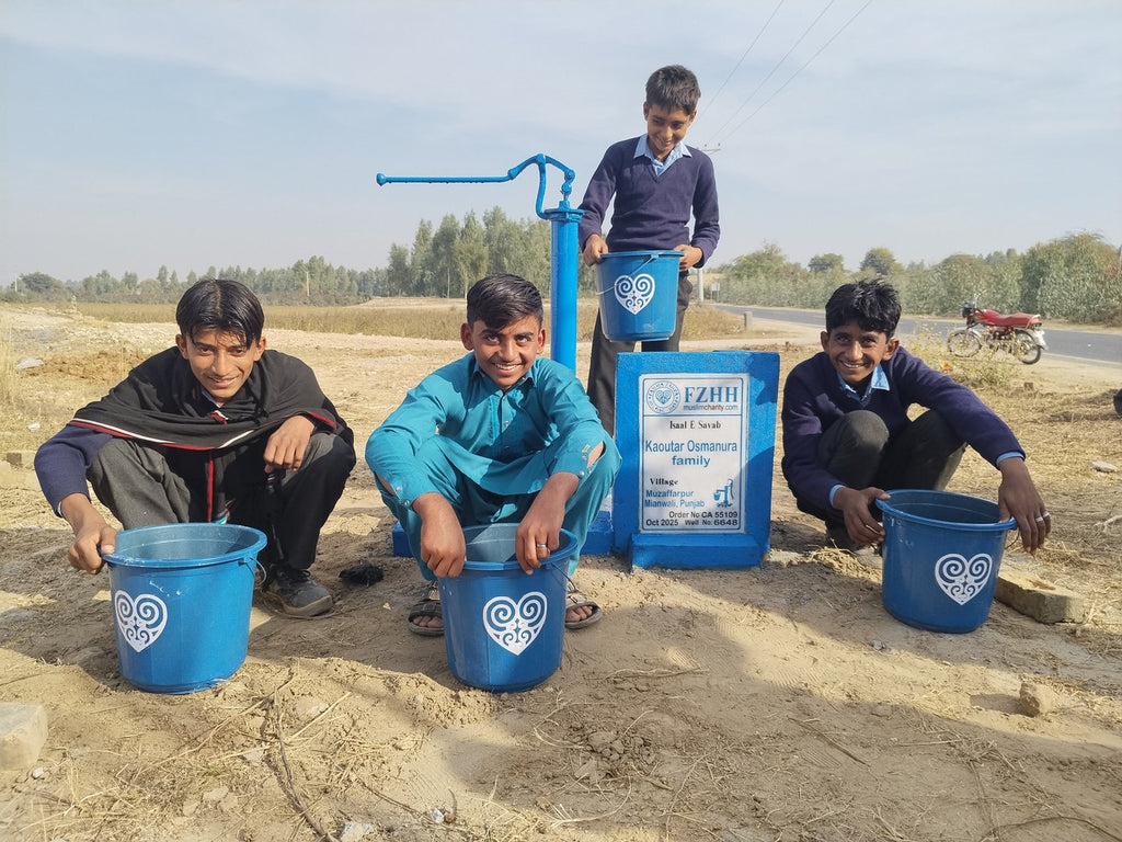 Kaoutar Osmanura family - Order no. CAN 55109 - Well no. 6648