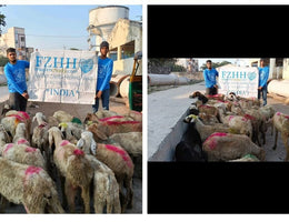 Hyderabad, India - Participating in Our Holy Qurbani Program & Mobile Food Rescue Programs by Processing, Packaging & Distributing Holy Qurbani Meat from 32+ Holy Qurbans to 480+ Less Privileged Families