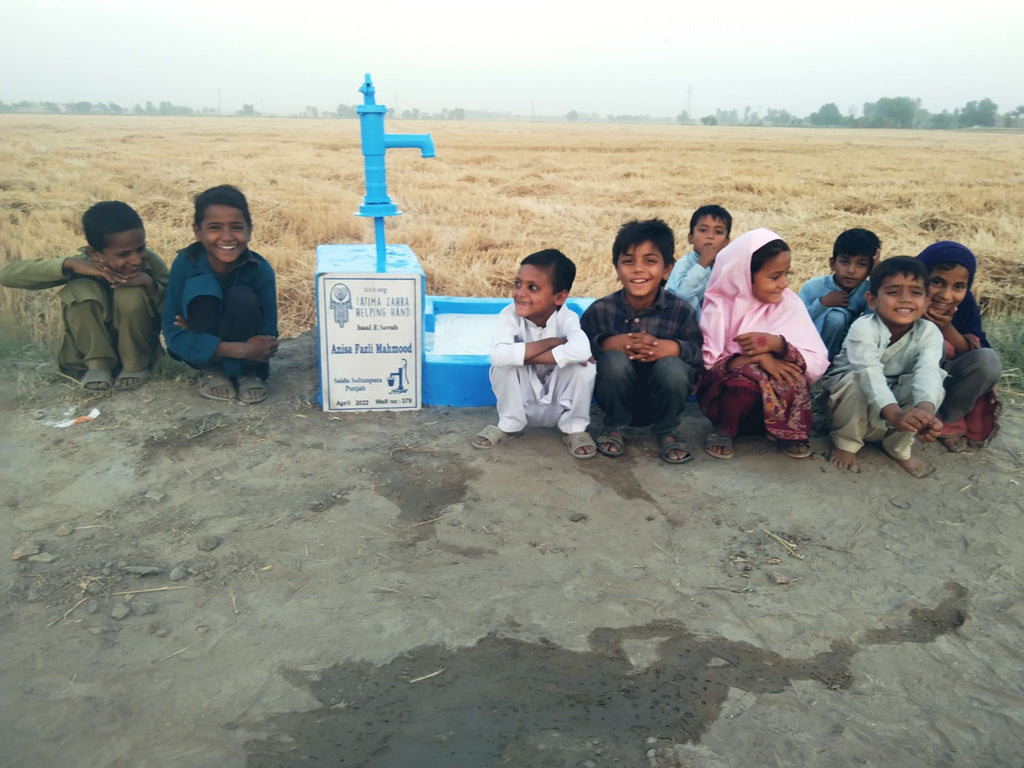 Mian Fazle Mahmood – FZHH Water Well# 379 – PK