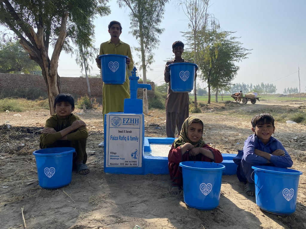 Faiza Rafiq & family - Order no. US 86254 - Well no. 6595