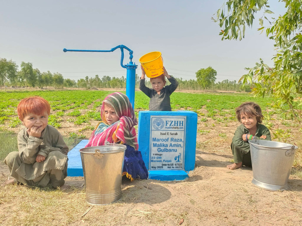 Maroof Raza, Malika Amin, Gulbanu - Order no. US 67323 - Well no. 5975