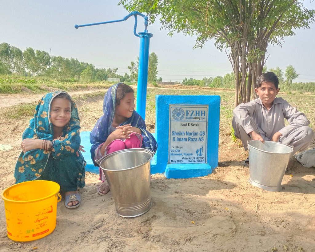 Sheikh Nurjan QS & Imam Raza AS - Order no. US 67395 - Well no. 5976