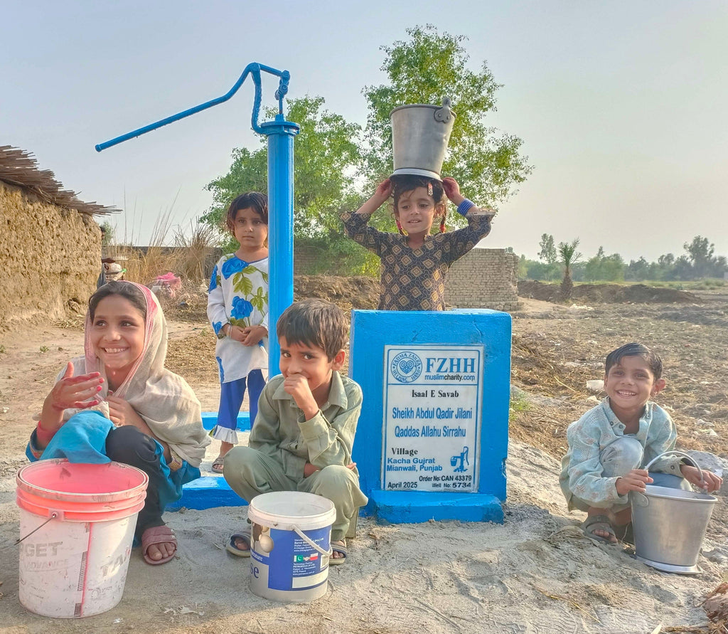 Sheikh Abdul Qadir Jilani Qaddas Allahu Sirrahu - Order no. CAN 43379 - Well no. 5734