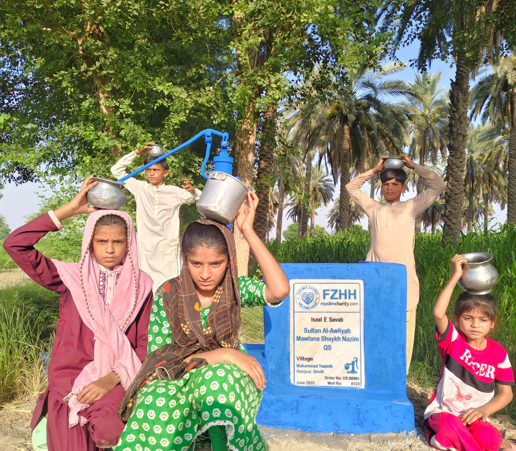 Sultan Al-Awliyah Mawlana Shaykh Nazim QS - Order no. US 69984 - Well no. 6123