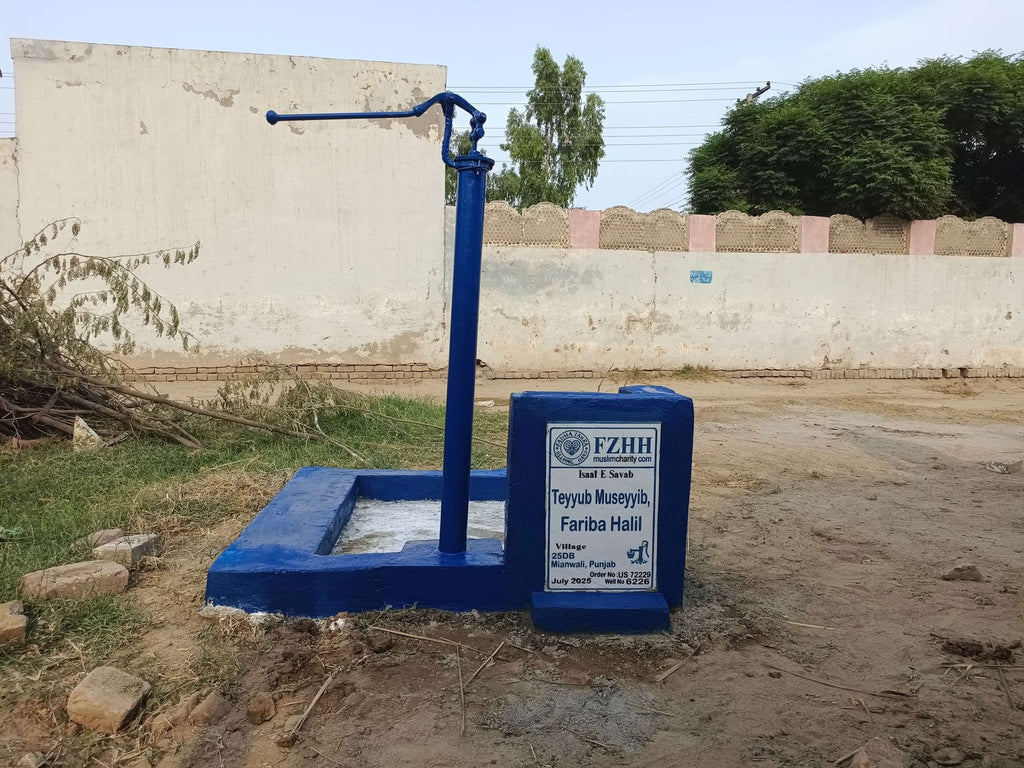 Teyyub Museyyib, Fariba Halil - Order no. US 72229 - Well no. 6226