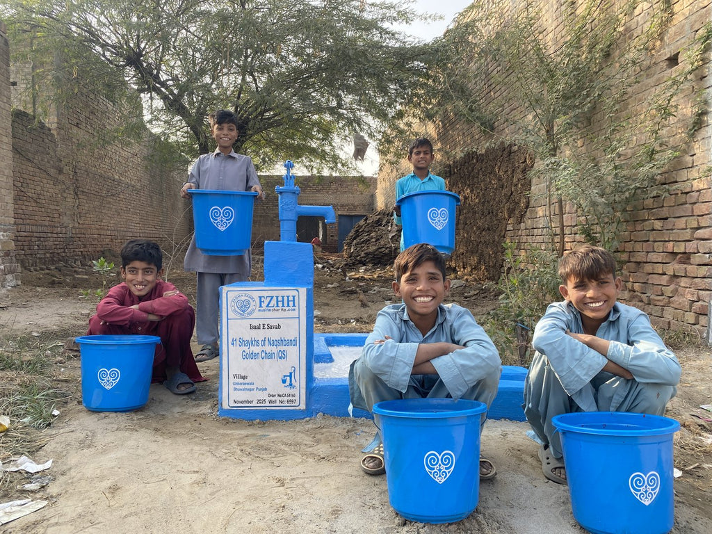 41 Shaykhs of Naqshbandi Golden Chain (QS) - Order no. CAN 54160 - Well no. 6597