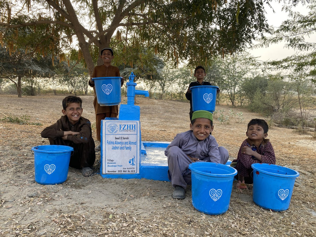 Fatima Alaweya and Ahmed Jadniri and Family - Order no. US 87251 - Well no. 6618