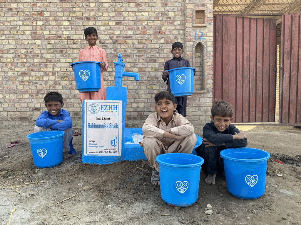 Rahimunnisa Shaik - Order no. US 86727 - Well no. 6607