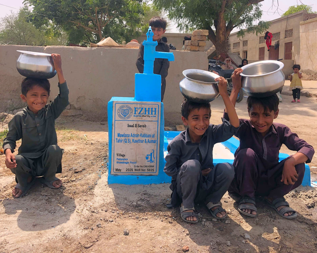 Mawlana Adnan Kabbani at-Tahir (q.s), Kawthar & Aumar - Order no. CAN 43864 - Well no. 5825