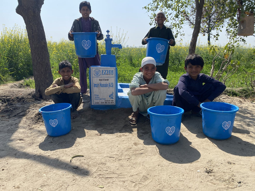 Iman Hussain (A.s) - Order no. US 94395 - Well no. 6874