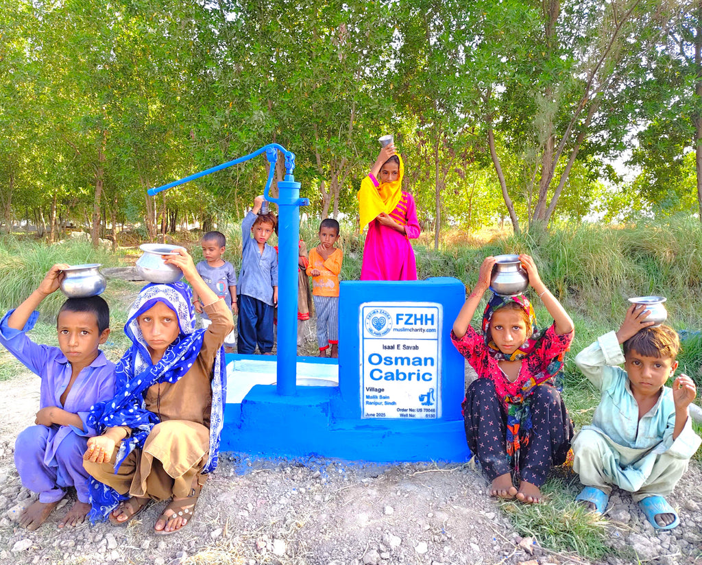 Osman Cabric - Order no. US 70046 - Well no. 6130