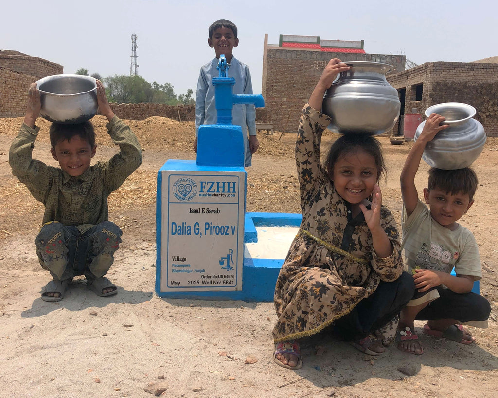 Dalia G, Pirooz V - Order no.  - Well no. 5841