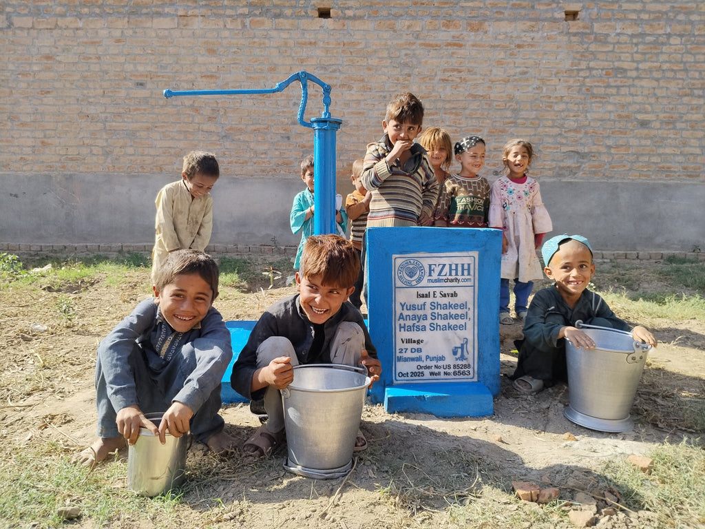 Yusuf Shakeel, Anaya Shakeel, Hafsa Shakeel - Order no. US 85288 - Well no. 6563