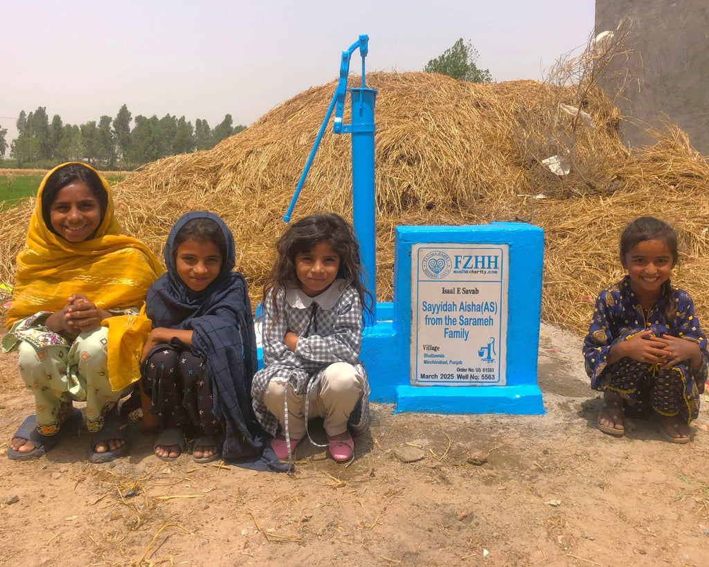 Sayyidah Aisha (AS) from the Sarameh Family - Order no. US 61593 - Well no. 5563