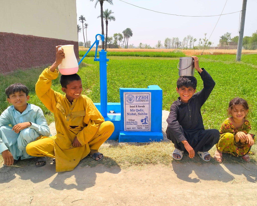 Mir Qadir, Nishat, Nabiha - Order no. US 62307 - Well no. 5625