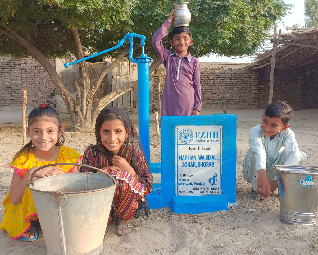 NABIJAN, WAJID ALI, ZOHAR, SHORAB - Order no. CAN 45208 - Well no. 5956