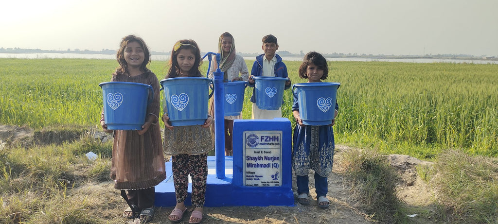 Shykh Nurjan Mirahmadi(q) - Order no. US 93454 - Well no. 6844