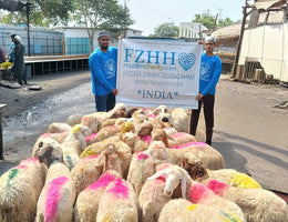 Qurban Udhiyah Activity Part 4 in Hyderabad, India - May 28, 2026