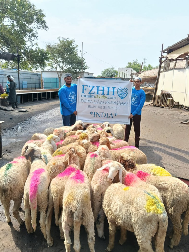 Qurban Udhiyah Activity Part 4 in Hyderabad, India - May 28, 2026