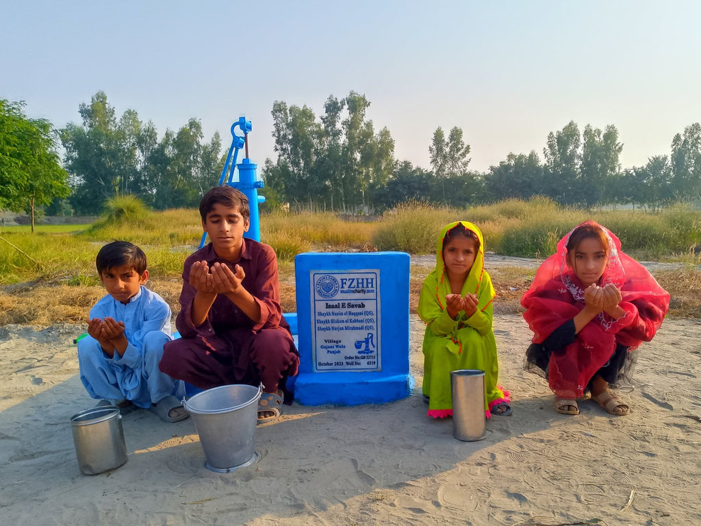 Shaykh Nazim al Haqqani (QS) , Shaykh Hisham al Kabbani (QS)... - Order no. CAN 52715 - Well no. 6519